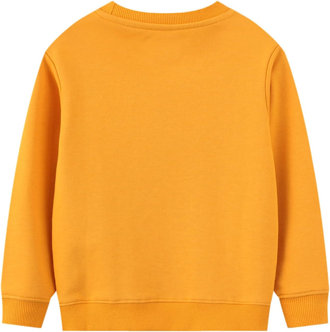 2 Pack Toddler Boys Sweatshirts Patterned Long Sleeve Pullover Crewneck Tops Shirts